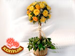 TOPIARIO ROSAS