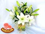 ELEGANCIA Y PUREZA PARA MAM