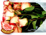   ROSAS EN CAJA