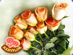   ROSAS EN CAJA